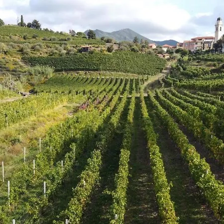 Al Vigneto Διαμέρισμα