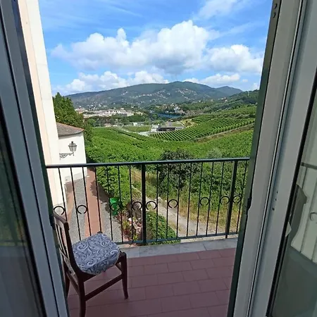 Al Vigneto Sestri Levante