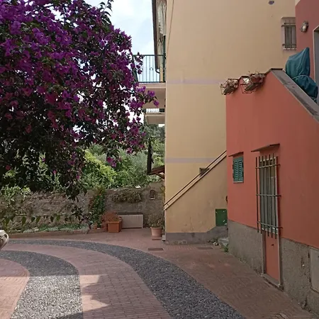 Al Vigneto