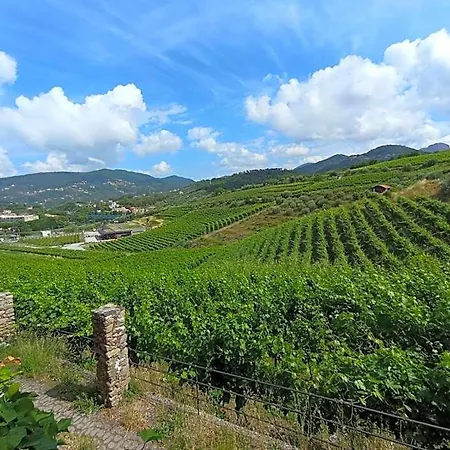 公寓 Al Vigneto *